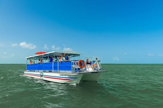 St. Augustine Wildlife Adventure: Boat Cruise & Kayak Eco Tour