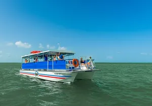 St. Augustine Wildlife Adventure: Boat Cruise & Kayak Eco Tour