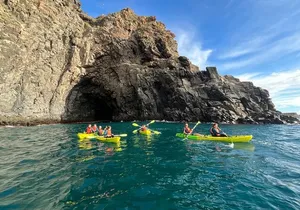 Turtle and Dolphin Watching Kayaking and Snorkeling Tour