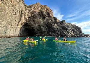 Turtle and Dolphin Watching Kayaking and Snorkeling Tour