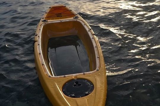 Clear Bottom Kayak Rental for Kings Bay Three Sisters Springs