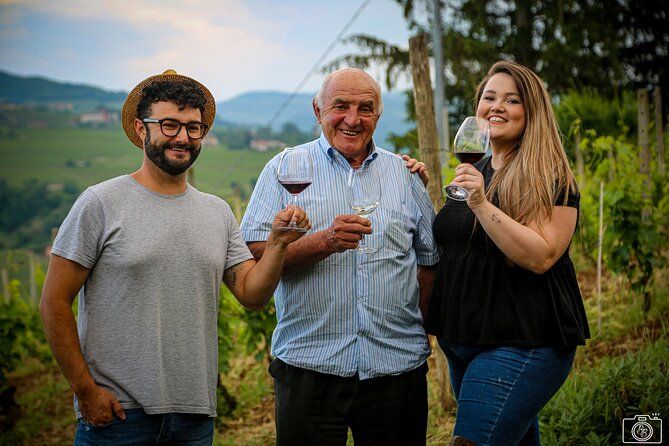 TOJO Family Winery Wine Tasting in Langhe - Wines & Vineyard Walk
