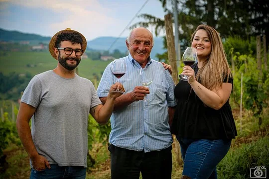 TOJO Family Winery Wine Tasting in Langhe - Wines & Vineyard Walk