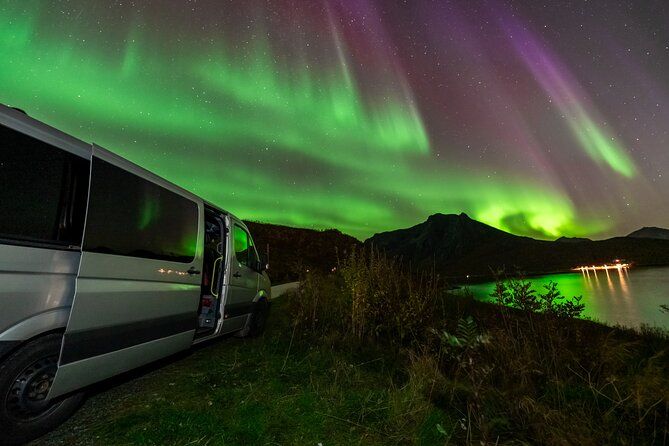 Tromso Cruise Excursion Northern Light Tour with pickup