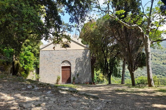 Olive grove tour with wine and oil tasting of the Cinque Terre