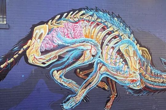 Love & Haight - San Francisco's Bohemian Past