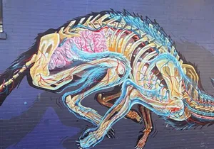 Love & Haight - San Francisco's Bohemian Past