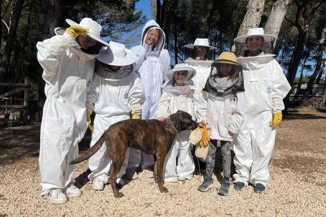 Immersion in the Life of a Hive and its Sacred Bees