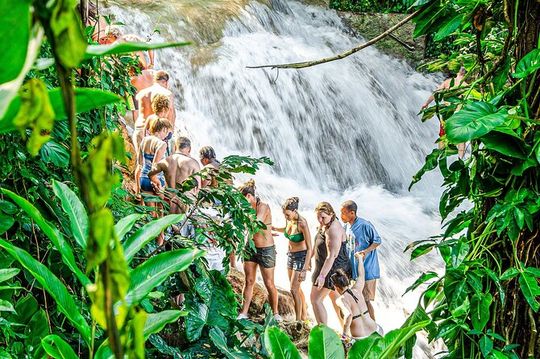 Dunn's River Falls and OchoRios Highlight View Scenic Fern Gully