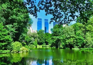 New York City Sensi Stone Mystery Self Guided Family Quest