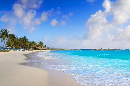 Buggy Adventure at Cozumel! Round Transportation from Cancun