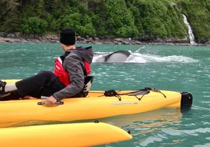 Sailing Alaska's Inside Passage 4 Day Private Tour