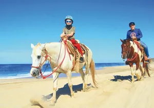 Cabo Tour Mexico Camel and Horseback Ride with ATV Adventure