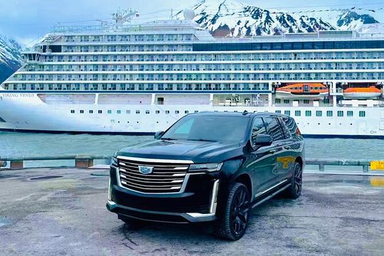 Private Seward Cruise Transit Tour with National Park and AWCC