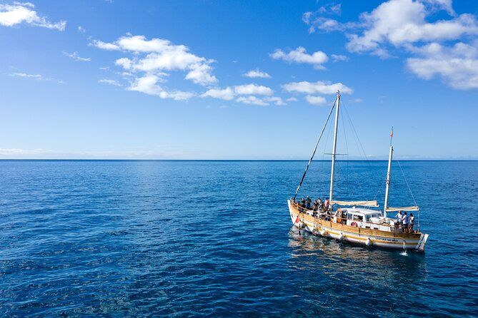 Dolphin & Whale watching on Sailing Boat- Open Bar & Music