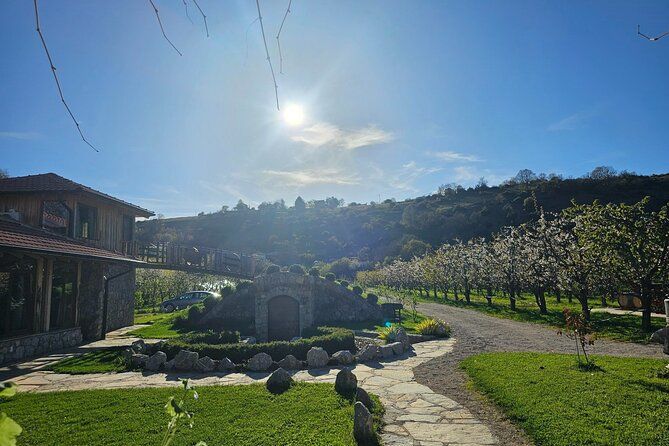 Rakija Distillery Guided Tour and Tasting