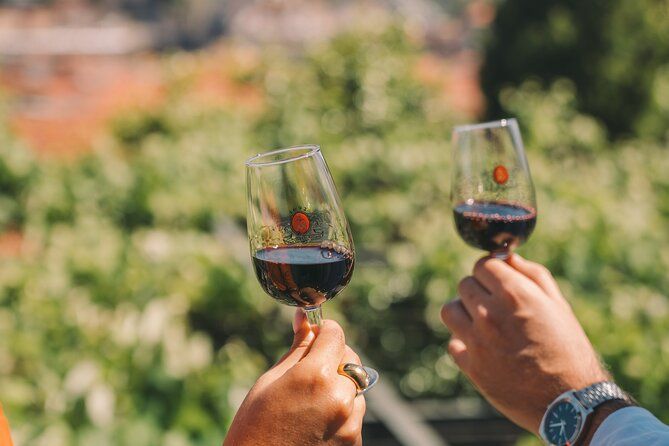 Porto: Taylor's Wine Cellar & WOW Day Pass