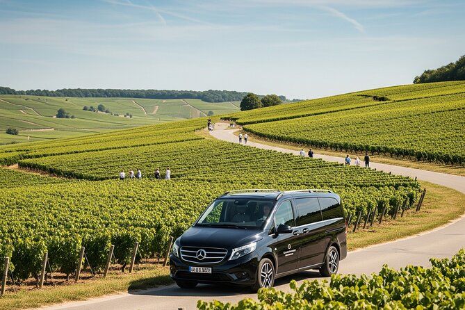 Private Tour in Dijon with your Official Tour Guide