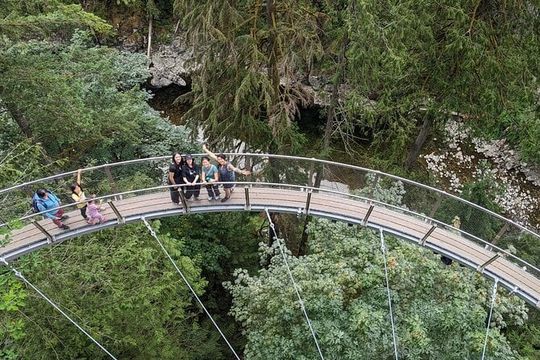 Capilano Suspension Bridge Canyon Lights & 4 Top highlights