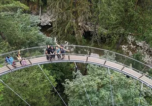 Capilano Suspension Bridge Canyon Lights & 4 Top highlights