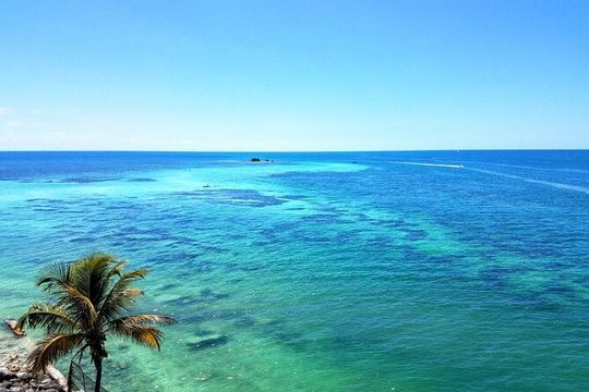 Private Full-Day Tour of Florida Keys from Miami/FLL to Key West
