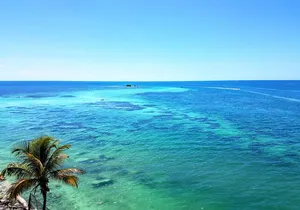 Private Full-Day Tour of Florida Keys from Miami/FLL to Key West