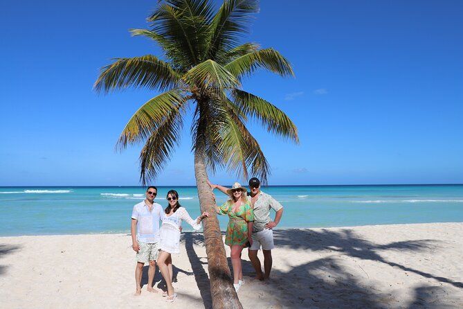 Saona VIP Island One Day in Paradise Small Group
