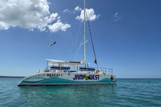 Party Catamaran Sunset Ricks Cafe Negril Open Bar and DJ
