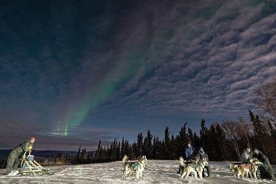 Dog Sledding and Northern Lights Combo Night