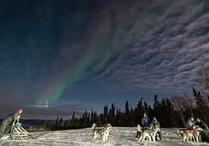 Dog Sledding and Northern Lights Combo Night