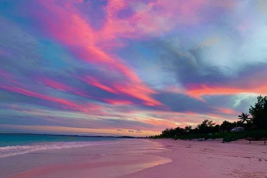 Pink Sand & Swimming Pigs Harbour Island Group Tour