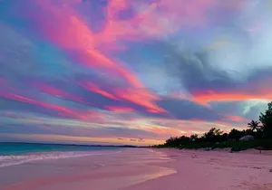 Pink Sand & Swimming Pigs Harbour Island Group Tour