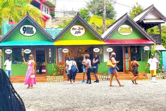 Bob Marley Nine Mile Admission and Guided Tour from Ocho Rios