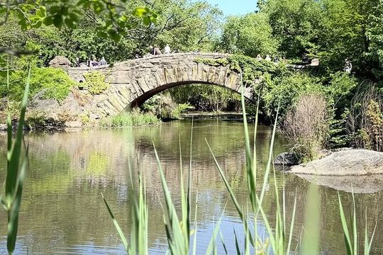 Central Park Pedicab Tour with local Guide