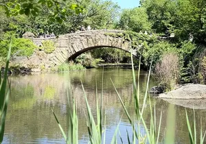 Central Park Pedicab Tour with local Guide