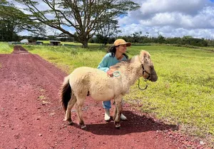 Ranch Tour & Animal Encounters