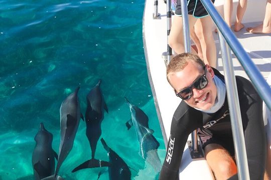 Wild Dolphin Swim, Turtle, Whale Safari with Guided Snorkeling