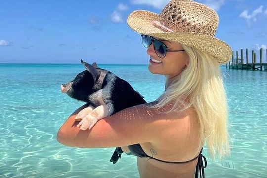 Swim with Pigs and Beach Snorkeling Adventure Rose Island Bahamas