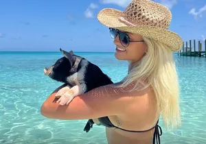 Swim with Pigs and Beach Snorkeling Adventure Rose Island Bahamas