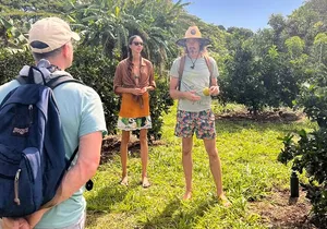 Pick and Taste Tropical Fruit