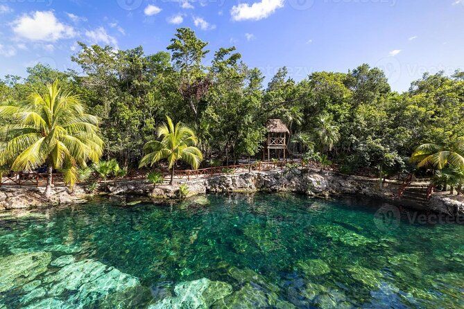 Cenotes Casa Tortuga: 5 Cenotes Day Pass