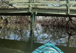 3 hour E.G. Simmons Park Mangrove Tunnel Tour