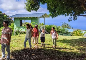 Hala Tree Coffee Farm Tour