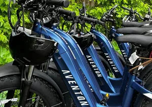 Downtown Sitka E-Bike Rentals