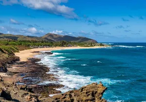 Oahu Highlights Private Tour: Nature, Views & Turtles in 6 Hours