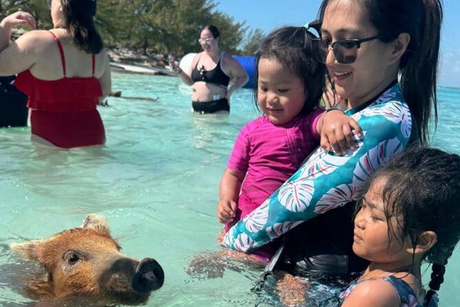 Swim with Pigs & Beach Snorkeling with Turtle Viewing Rose Island