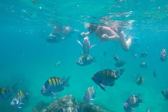 Underwater Wonders Snorkeling Adventure