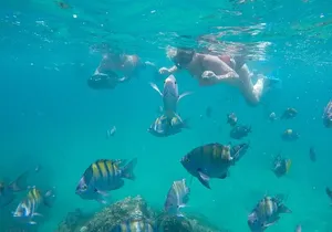 Underwater Wonders Snorkeling Adventure