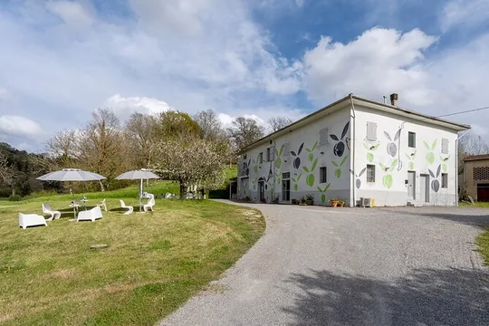 Inserrata Organic Wine Tasting Experience in San Miniato Pisa