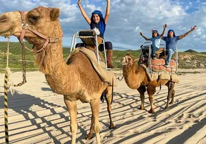 Private ATV and Camel Ride on a White Sand Beach